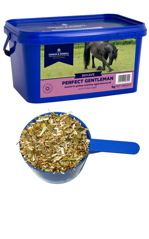 Dodson & Horrell Perfect Gentleman 1Kg