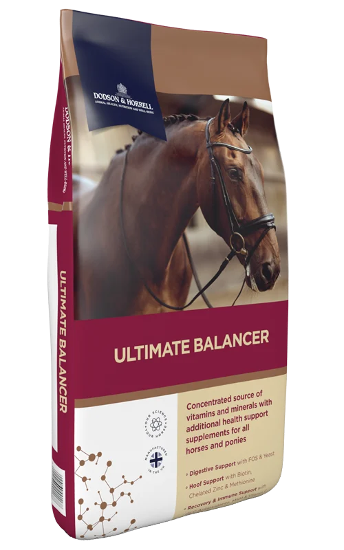 Dodson & Horrell Ultimate Balancer — 20Kg