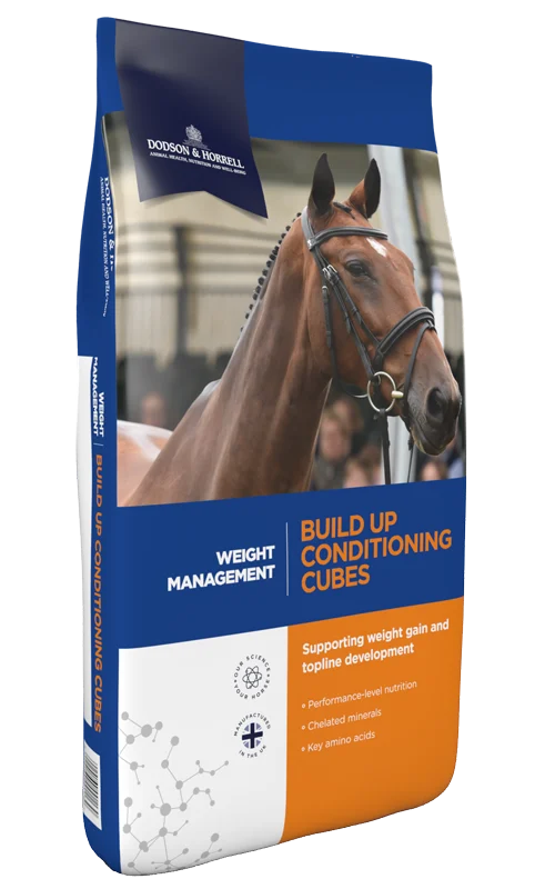 Dodson & Horrell Build Up Conditioning Cubes 20Kg