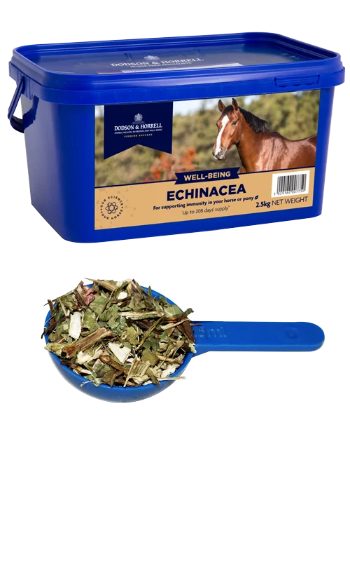 Dodson & Horrell Echinacea natuurlijke helpende hand voor de weerstand van je paard — 1 Kg