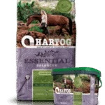 Hartog Essential