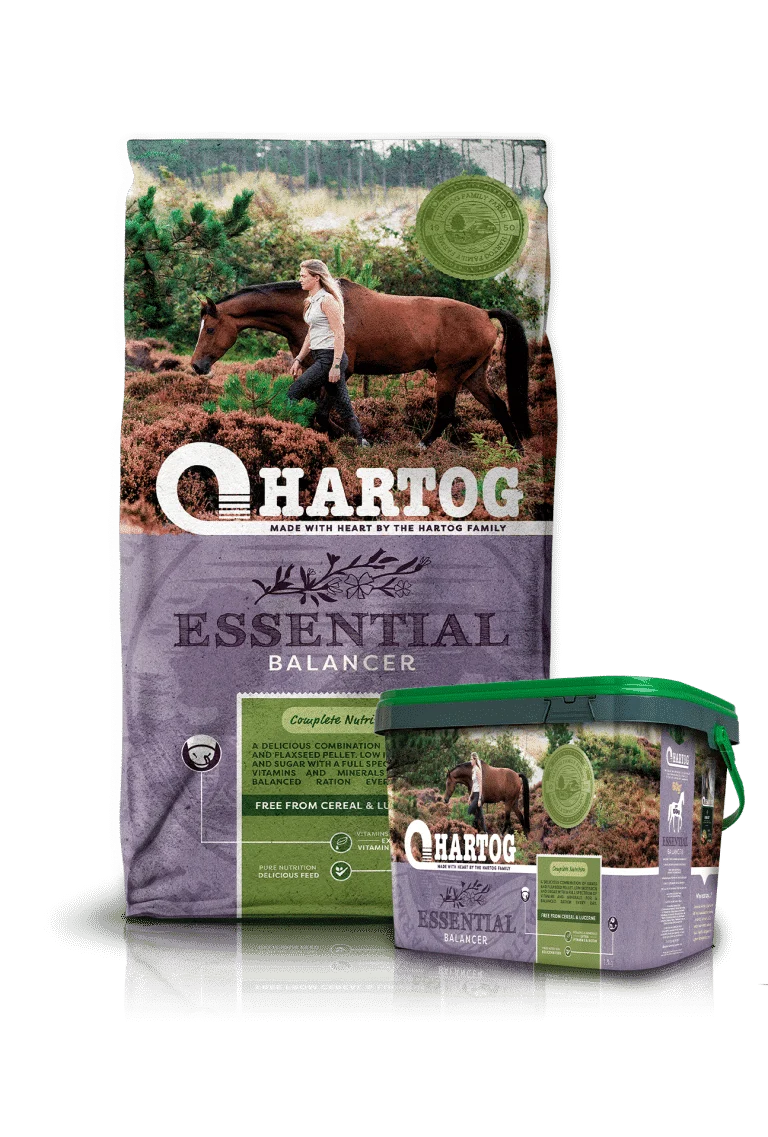 Hartog Essential