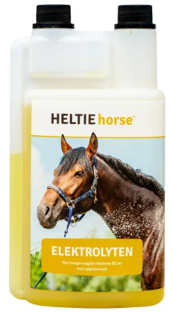 HELTIE horse® Elektrolyten — 1000 Ml