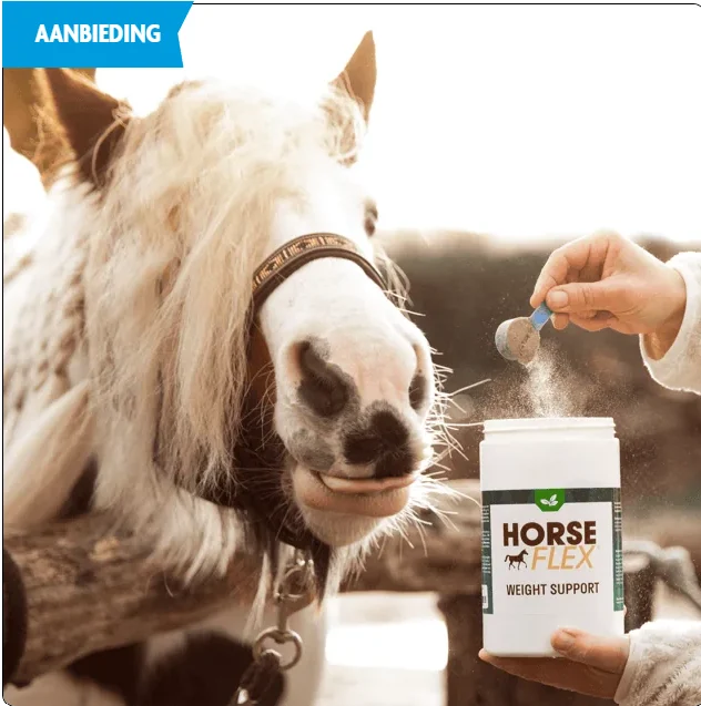 HorseFlex Weight Support