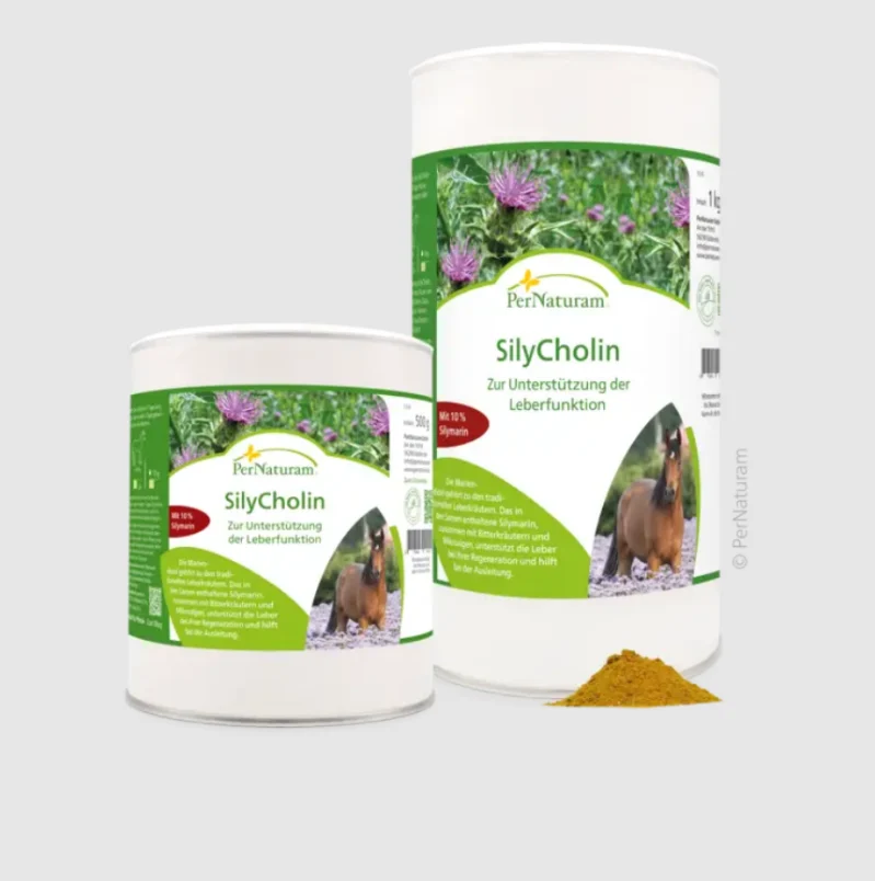 PerNaturam SilyCholin — 500 Gr