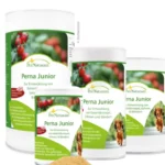 PerNaturam Hond Perna Junior