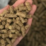 Pure Veteran Pellets 15 Kg
