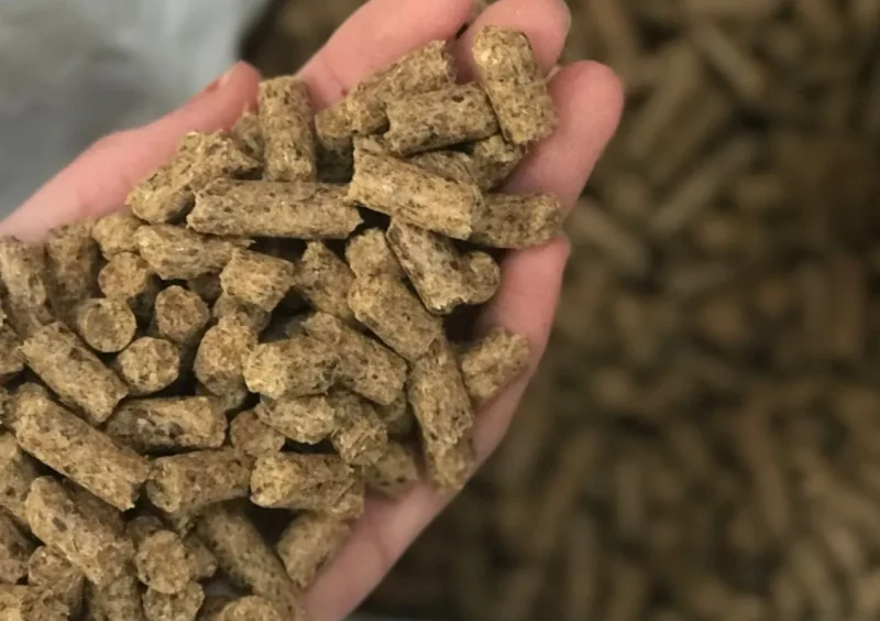 Pure Veteran Pellets 15 Kg