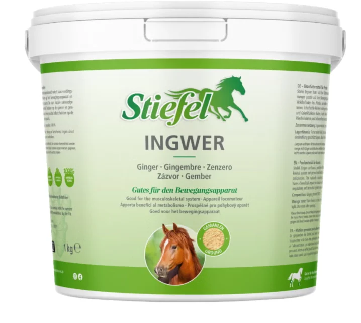 Stiefel Gember (Ingwer) Gemalen 1 Kg