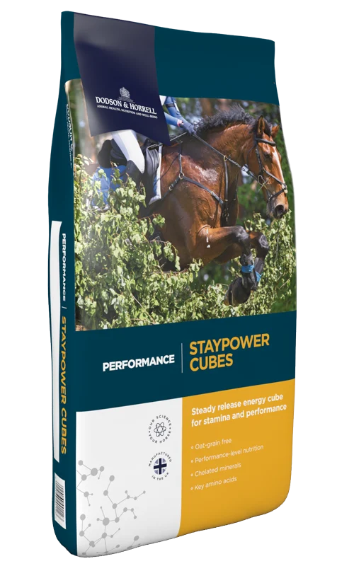 Dodson & Horrell Staypower Cubes 20 Kg
