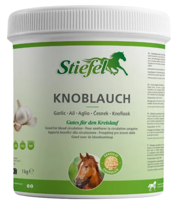 Stiefel Knoflook (Knoblauch)