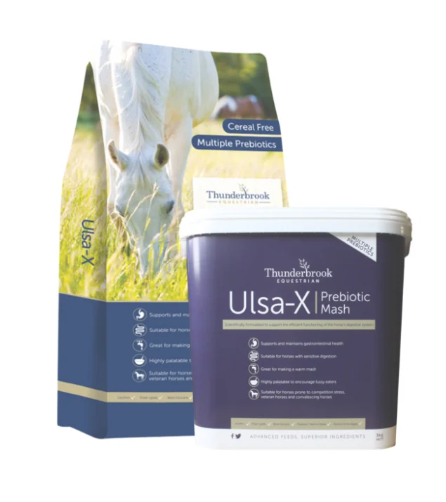 Thunderbrook Ulsa-X