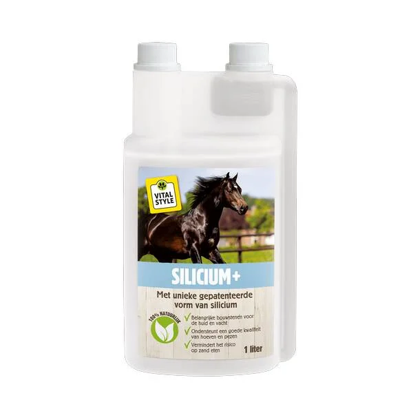 Vitalstyle Silicium + 1 ltr
