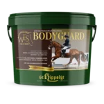 St. Hippolyt Wes Bodyguard