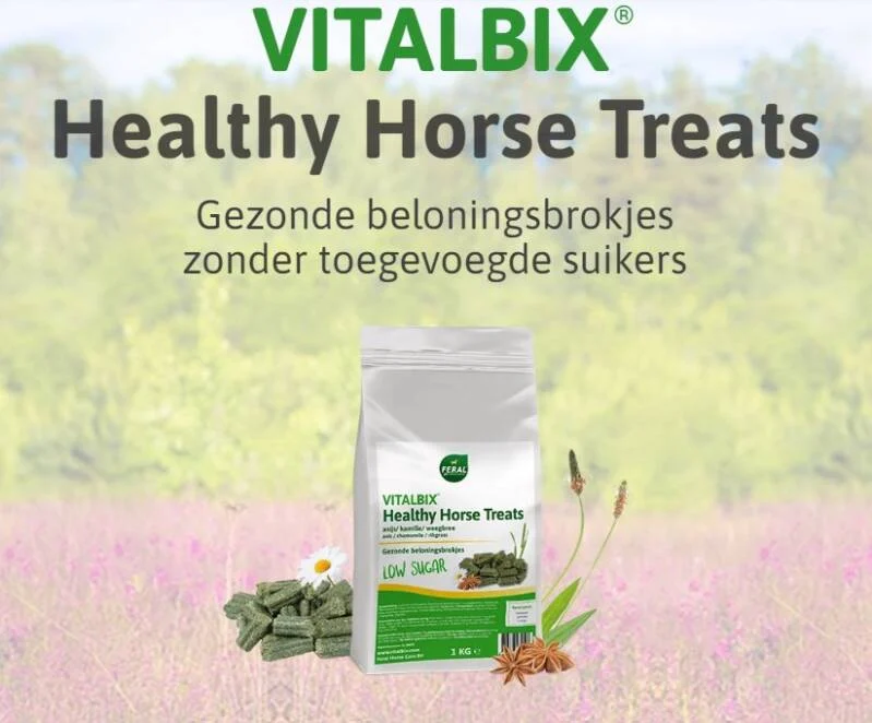 Vitalbix Healthy Horse Treats Anijs 1 Kg