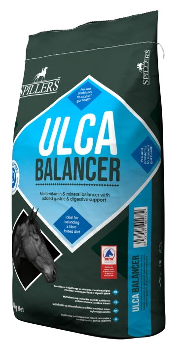 Spillers Ulca Balancer 15 Kg